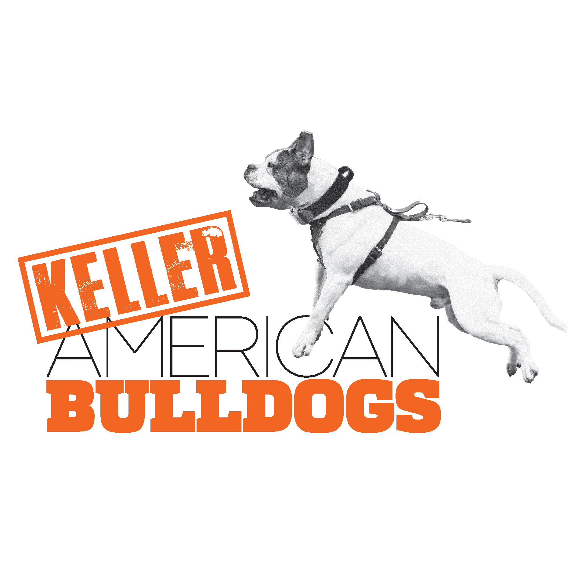 Keller American Bulldogs logo